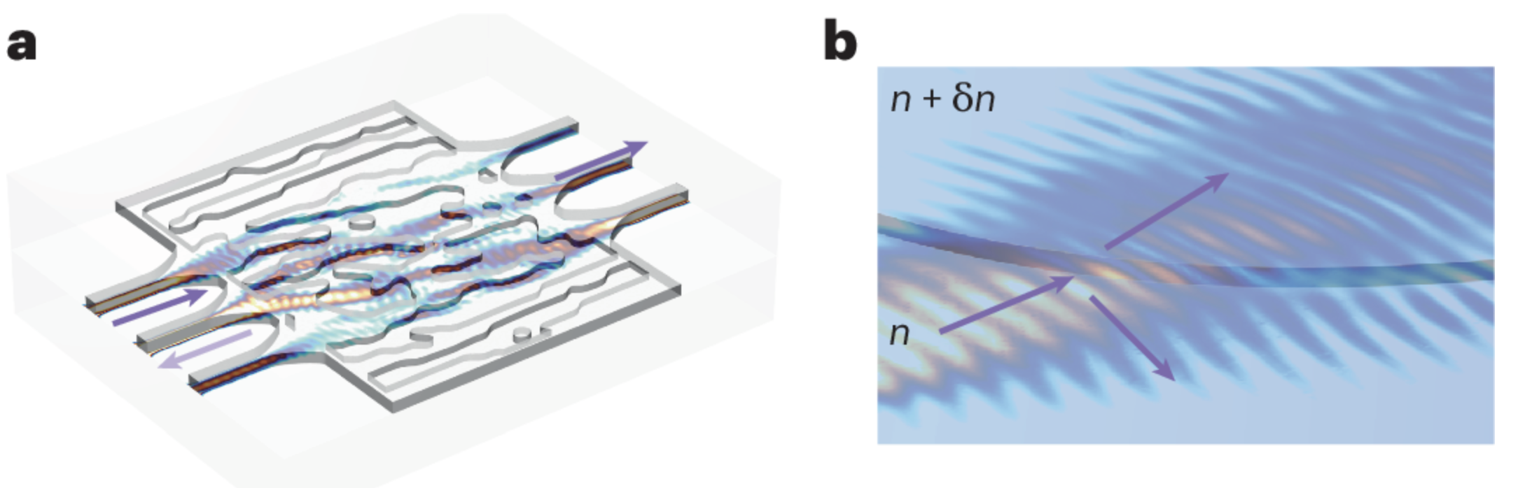 Read more about the article Nature Photonics News and Views:  “Reviving holographic photonic integration”